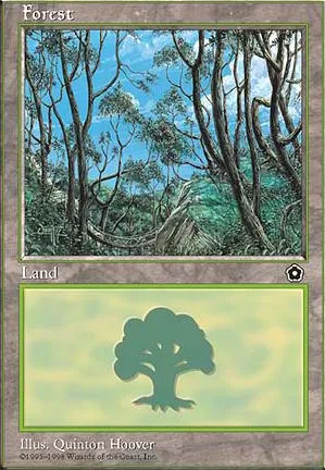 Forêt
