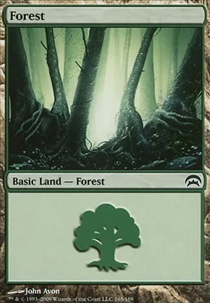 Forêt