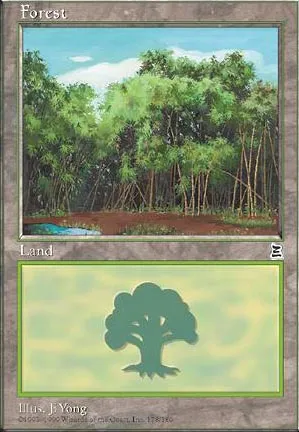 Forêt