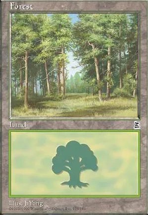 Forêt