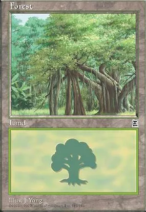 Forêt