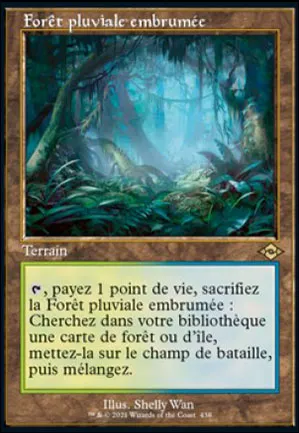 Forêt pluviale embrumée