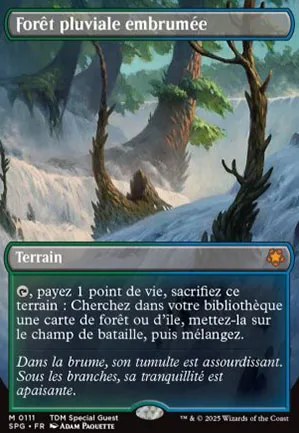 Forêt pluviale embrumée