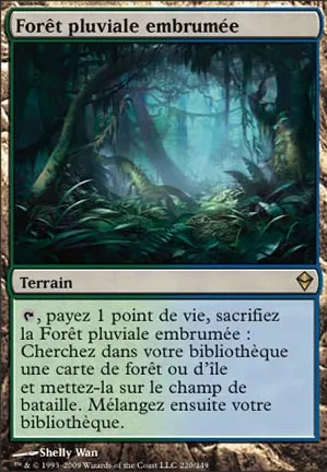 Forêt pluviale embrumée