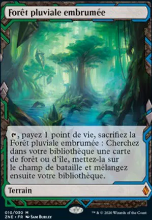 Forêt pluviale embrumée