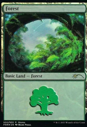 Forêt