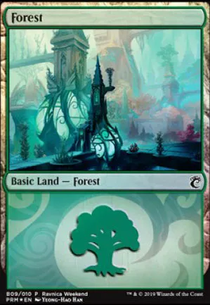 Forêt