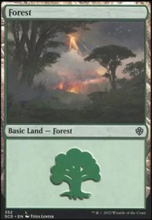 Forêt