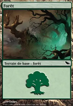 Forêt