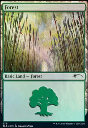 Forêt