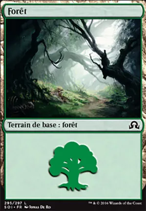 Forêt