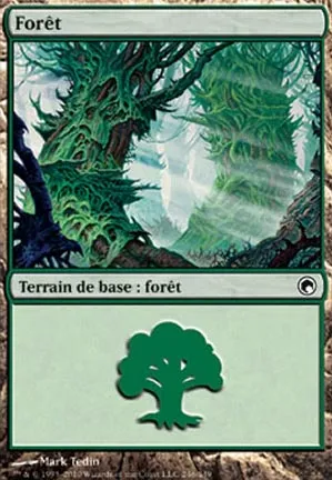 Forêt