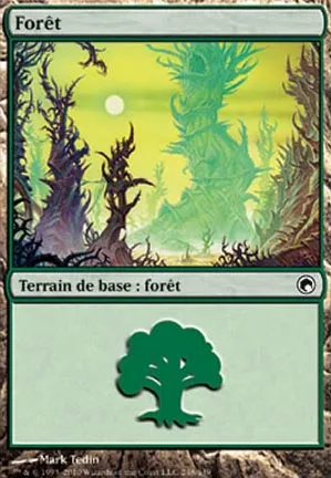 Forêt