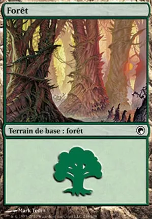 Forêt