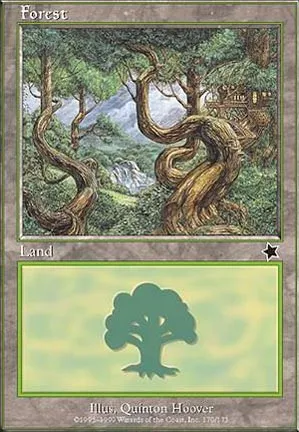Forêt