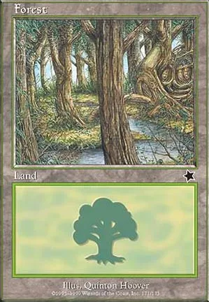 Forêt
