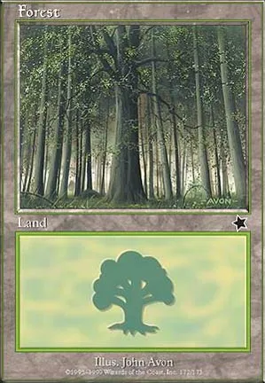 Forêt