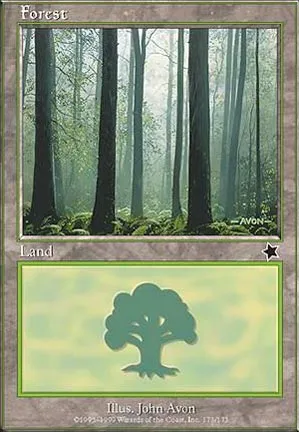 Forêt