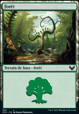 Forêt
