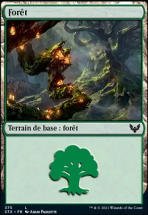 Forêt