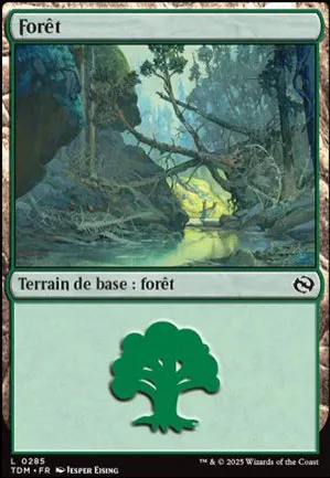 Forêt