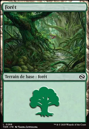 Forêt