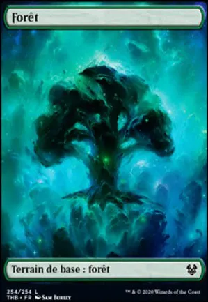 Forêt