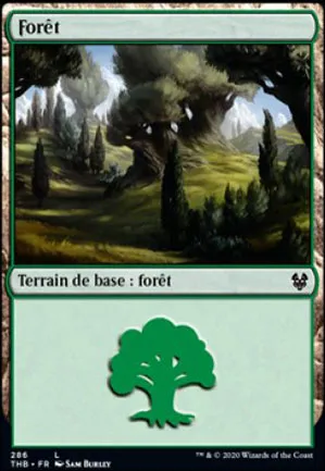 Forêt