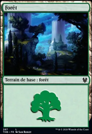 Forêt
