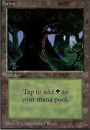 Forêt