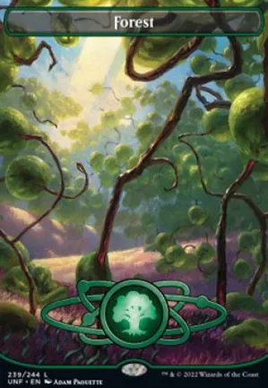 Forêt