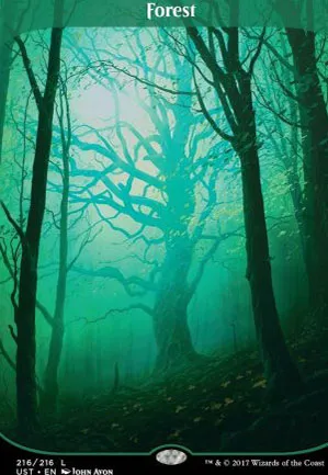 Forêt