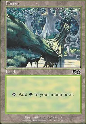 Forêt