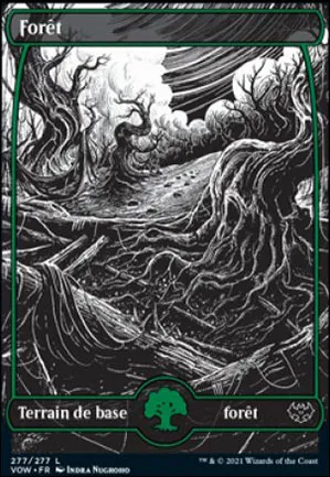 Forêt