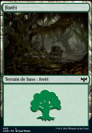 Forêt