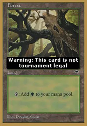 Forêt