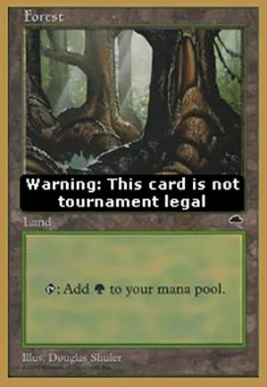 Forêt