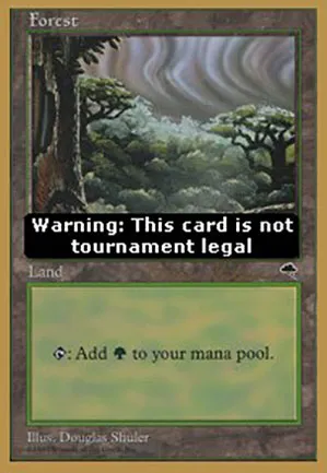 Forêt