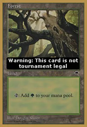 Forêt