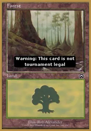 Forêt