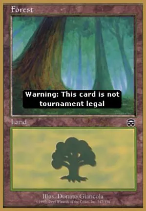 Forêt