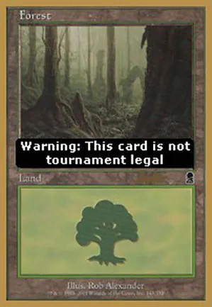 Forêt