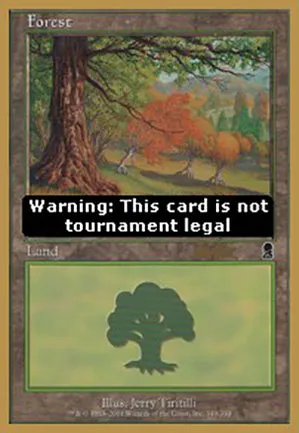 Forêt