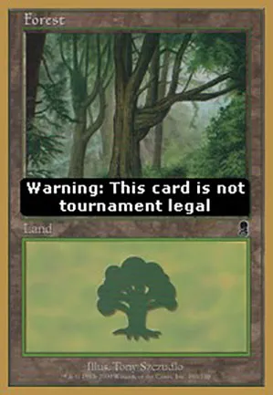 Forêt