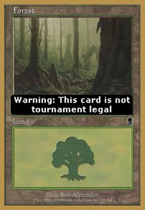 Forêt