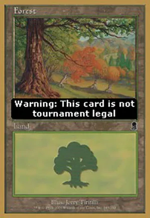 Forêt