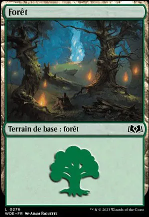 Forêt
