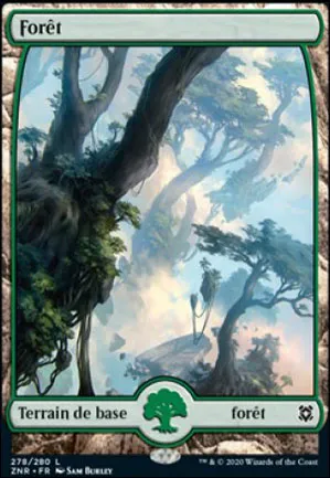 Forêt