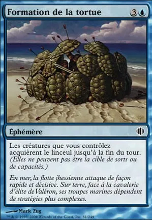 Formation de la tortue