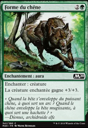 Forme du chêne